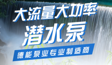 湖南德能泵業有限公司