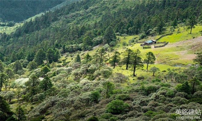 望城網站設計費用如何考慮？（望城網站設計費用的5個考慮重點）