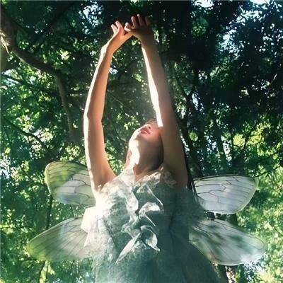 秋日奏鸣曲